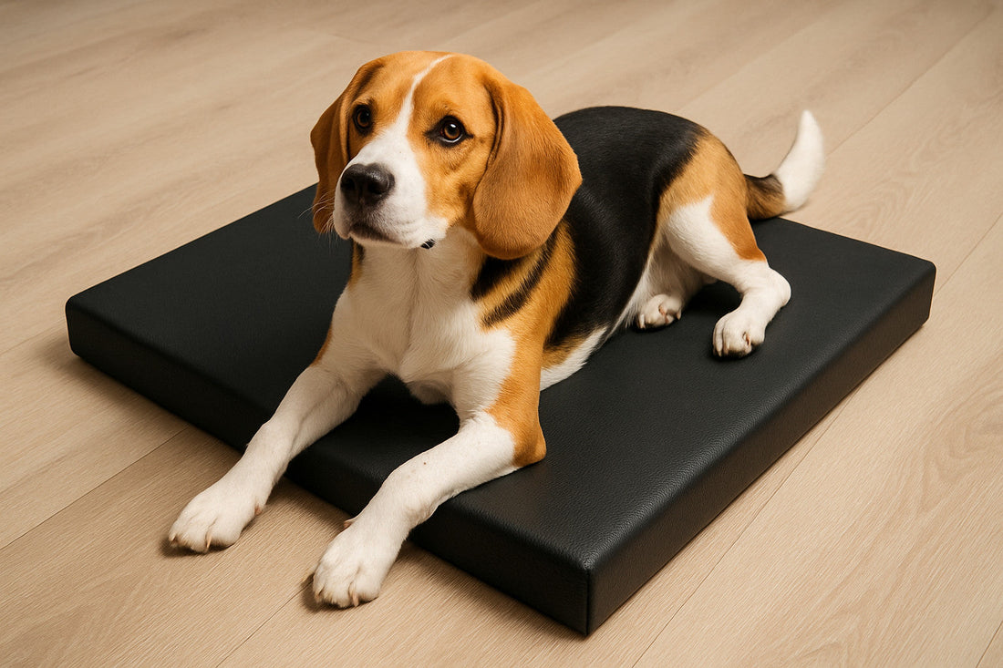 Hundematte aus Kunstleder nach Maß