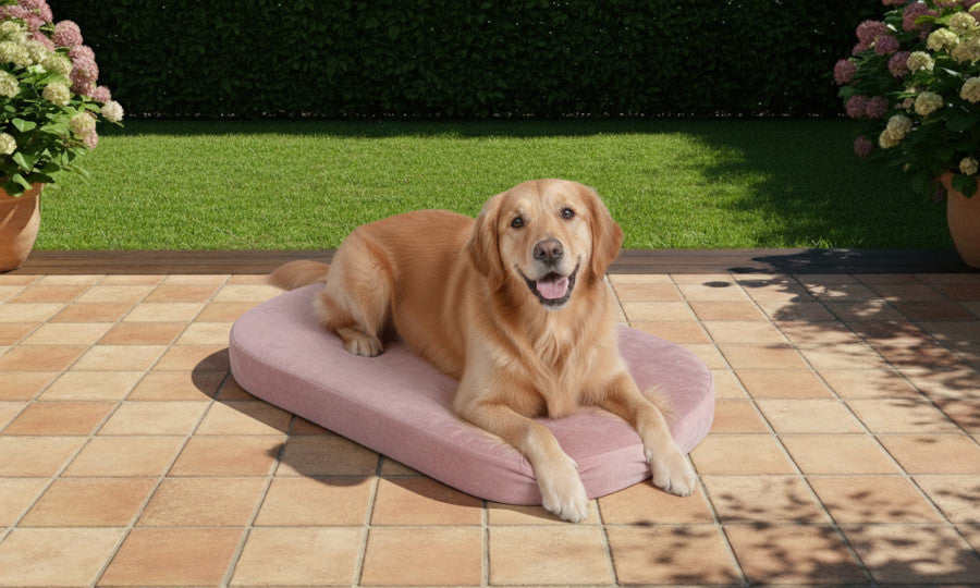 Outdoor Ovales Hundebett nach Maß