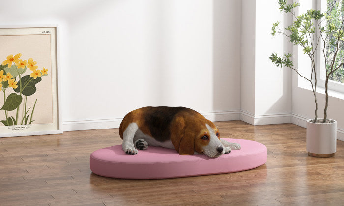 Ovale und runde Hundebetten - Indoor